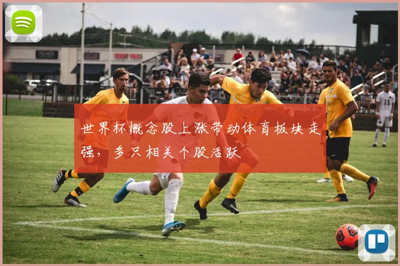 世界杯概念股上涨带动体育板块走强，多只相关个股活跃