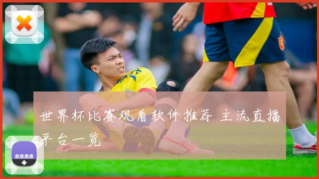 世界杯比赛观看软件推荐 主流直播平台一览