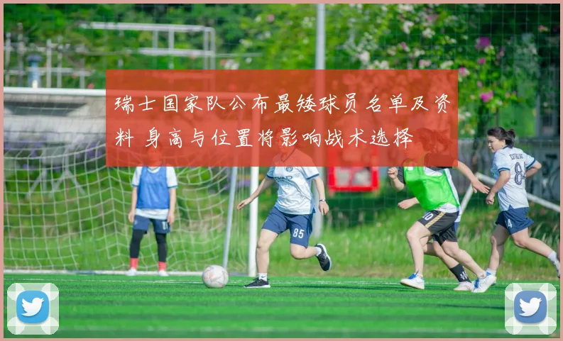 瑞士国家队公布最矮球员名单及资料 身高与位置将影响战术选择