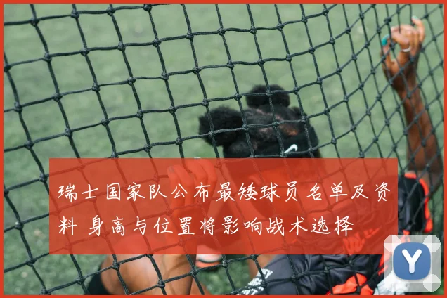 瑞士国家队公布最矮球员名单及资料 身高与位置将影响战术选择